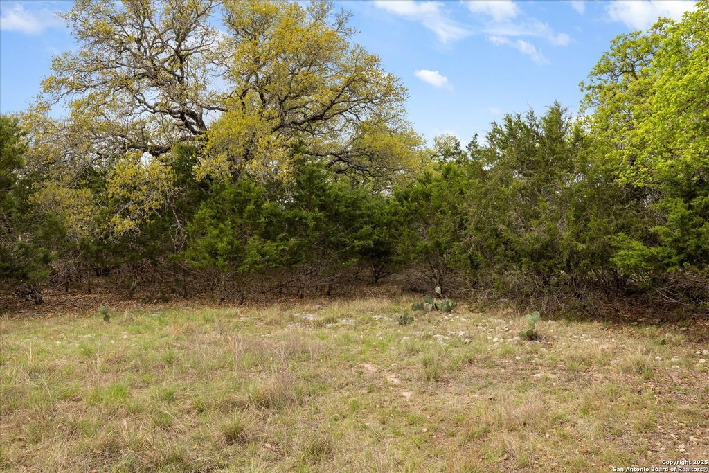 listing image 56