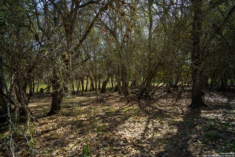 listing image 48
