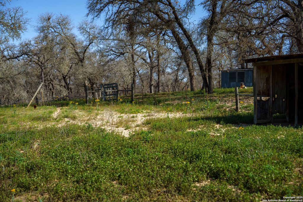 listing image 42