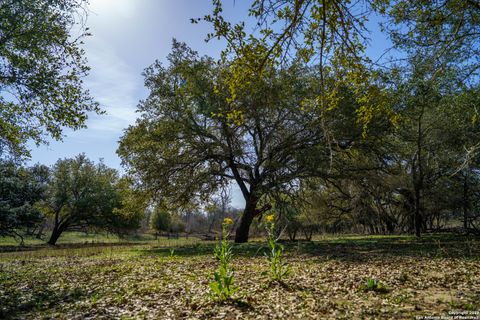listing image 45