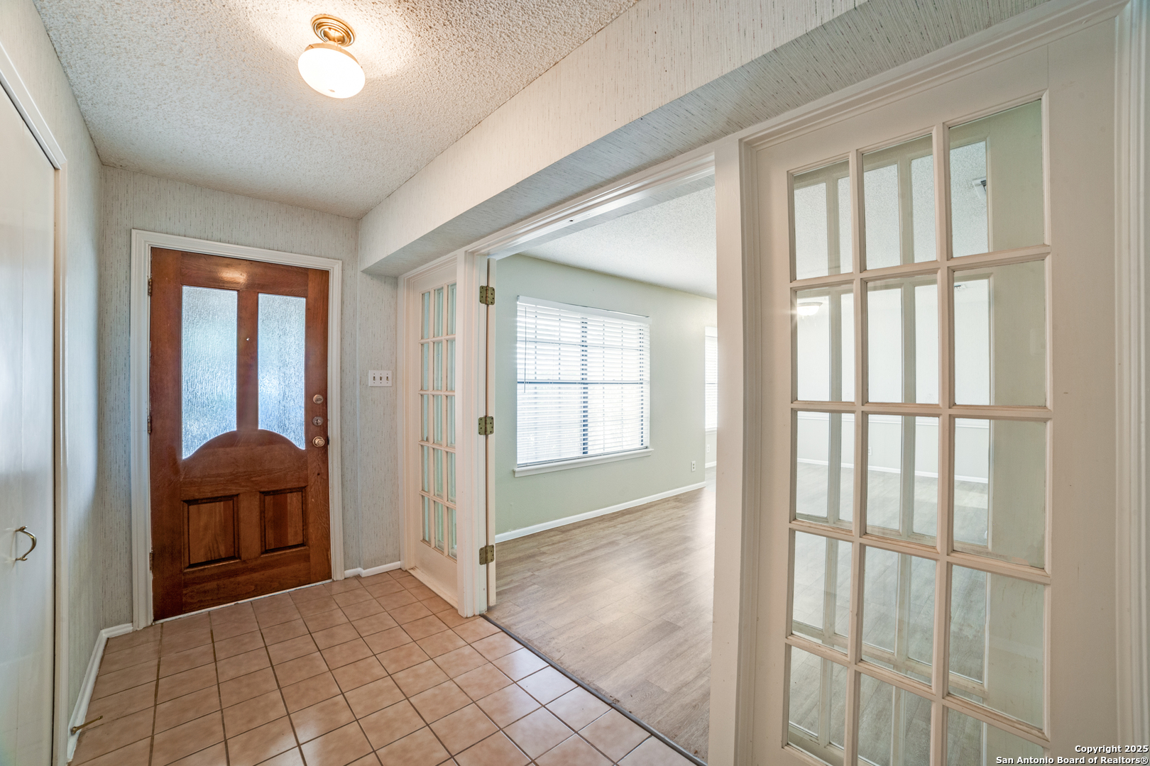 2523 Turkey Oak
