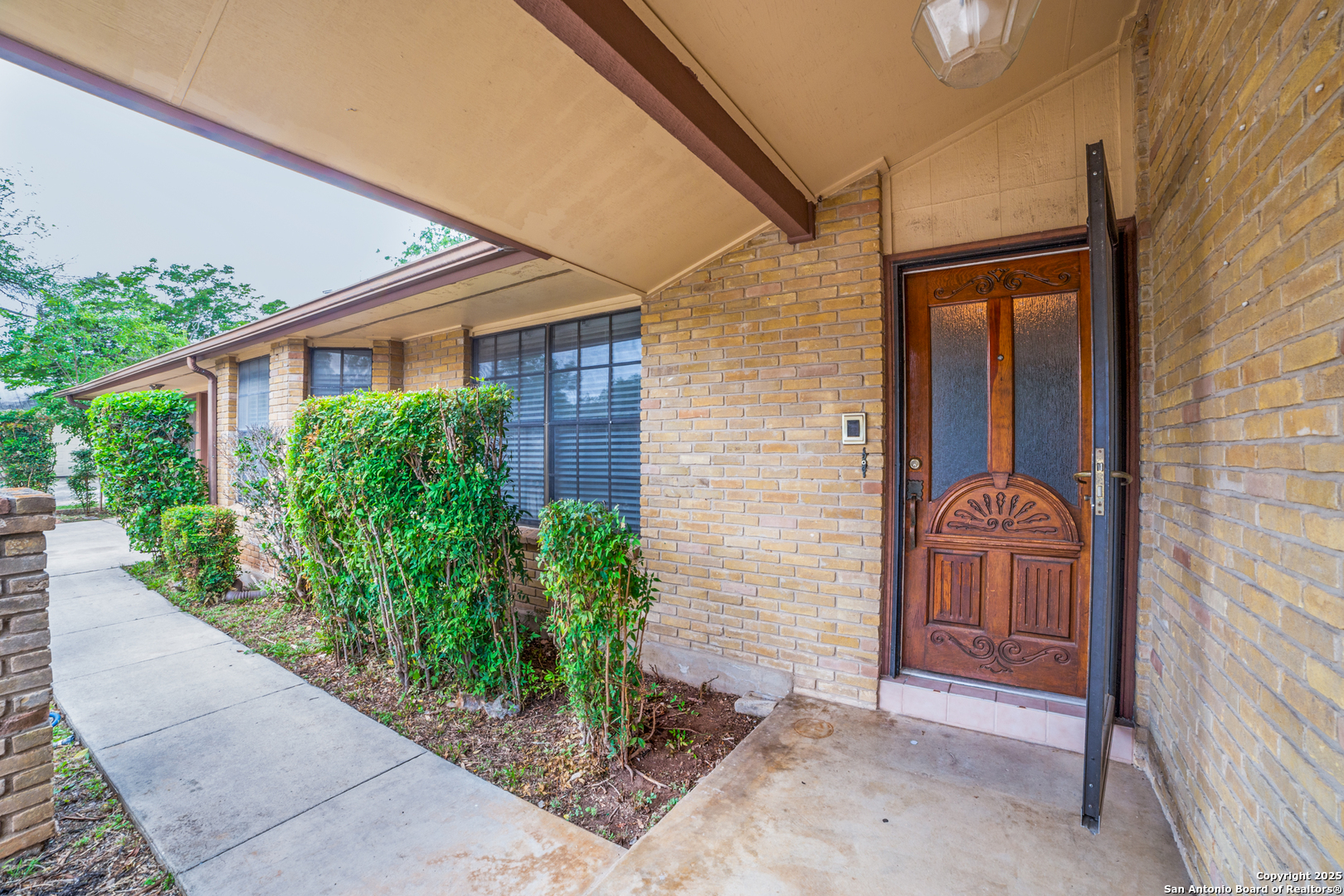2523 Turkey Oak