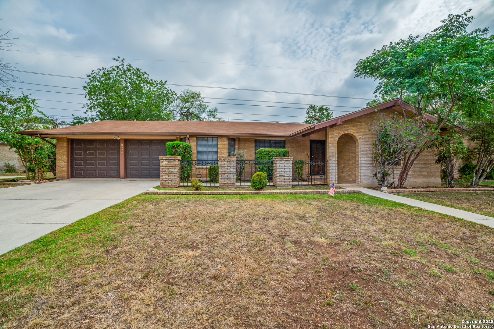 2523 Turkey Oak
