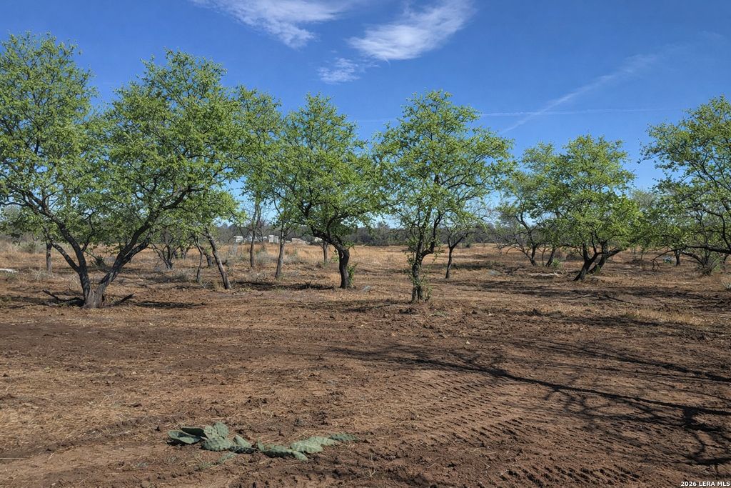 Photo of 105 Sylas Hayes, Pleasanton, TX 78064 (MLS # 1940439)