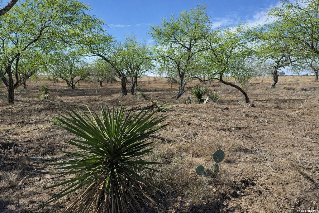 Photo of 105 Sylas Hayes, Pleasanton, TX 78064 (MLS # 1940439)