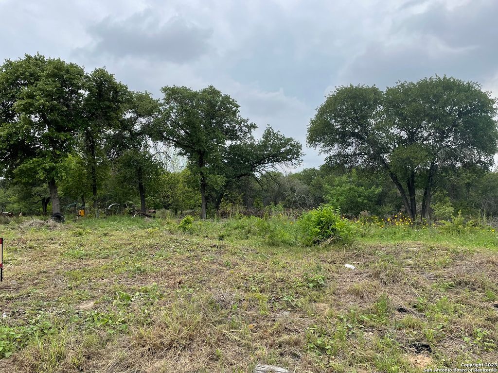 Photo of 1223 DUPONT, San Antonio, TX 78264 (MLS # 1675627)