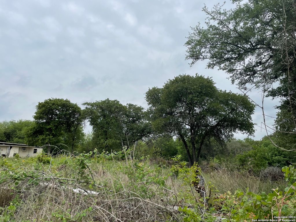 Photo of 1223 DUPONT, San Antonio, TX 78264 (MLS # 1675627)