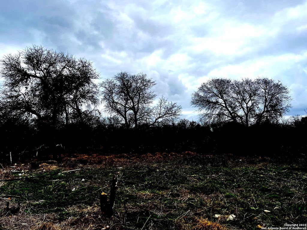 Photo of 1223 DUPONT, San Antonio, TX 78264 (MLS # 1675627)