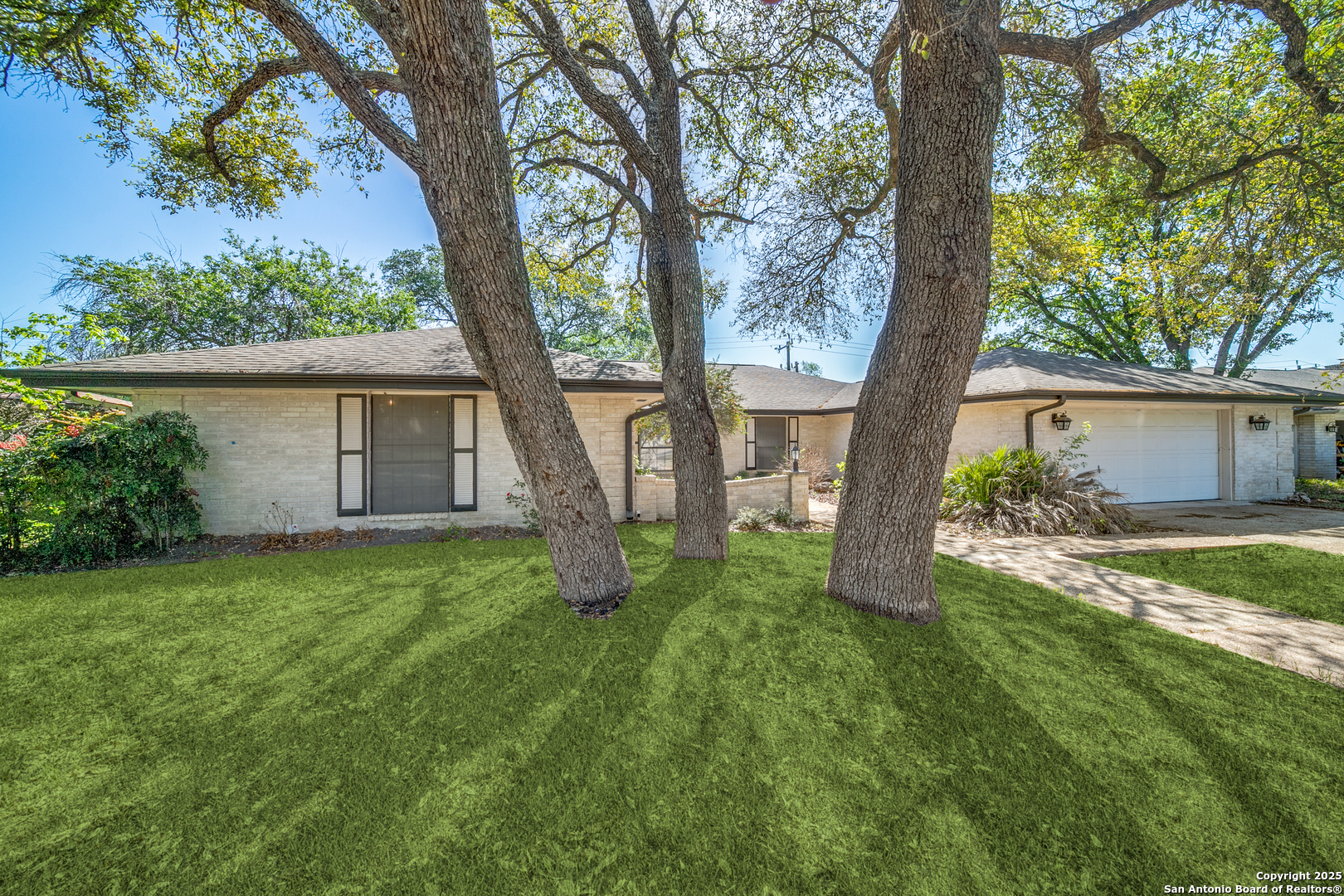 8702 Spanish Moss