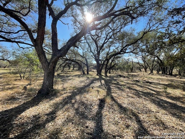 1384 county road 326