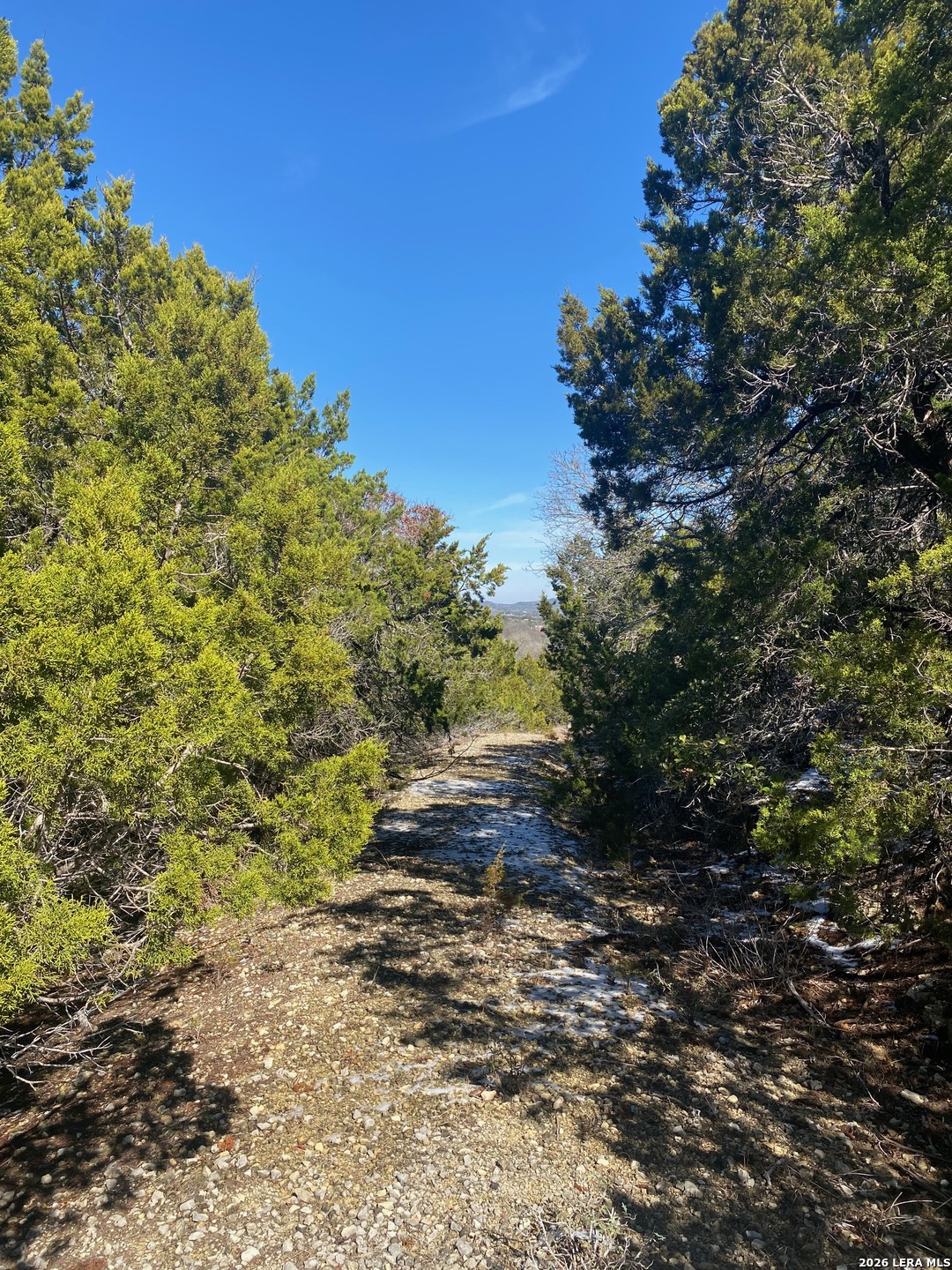 117 Sparrow Hawk Trail