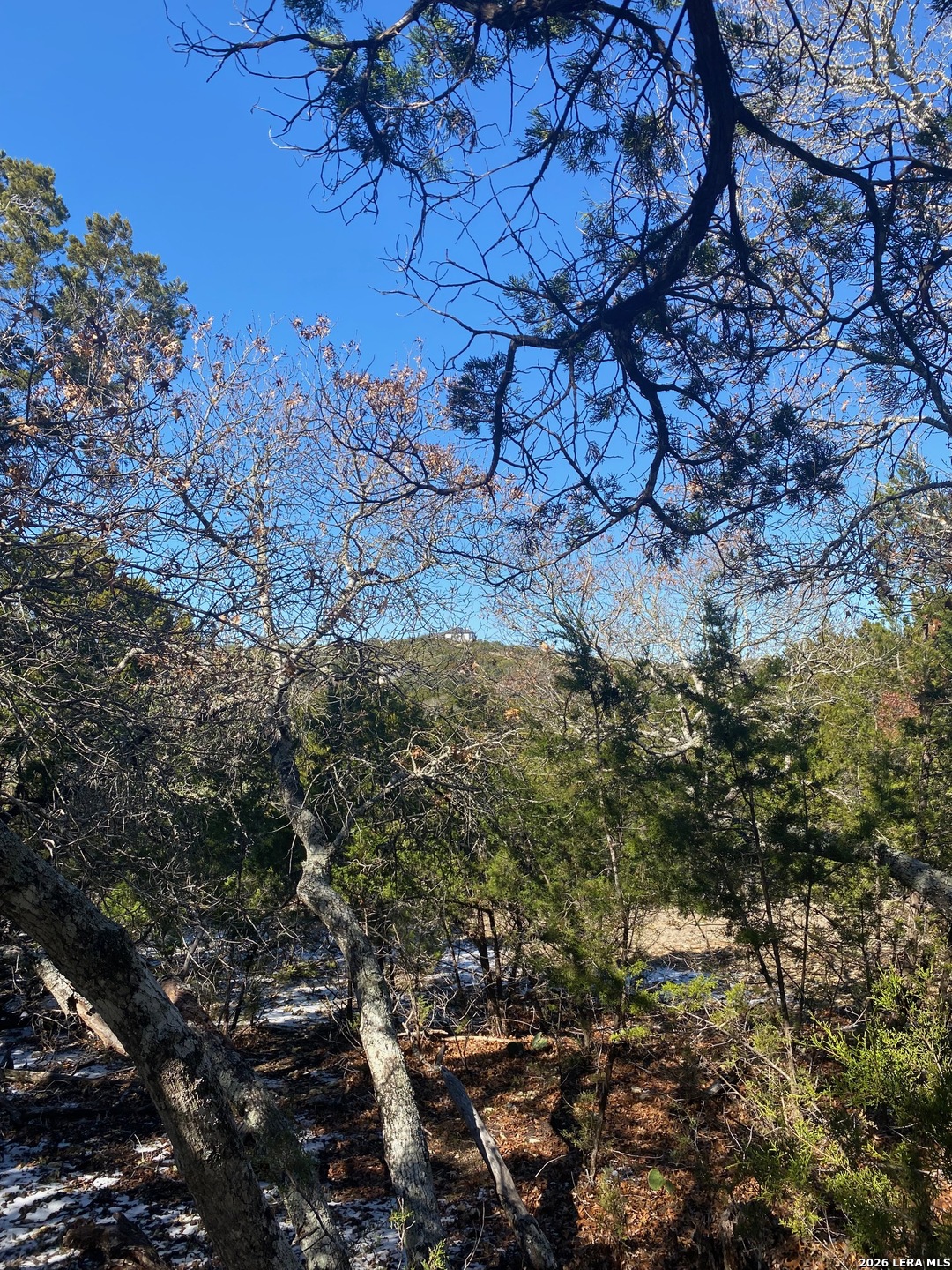 117 Sparrow Hawk Trail