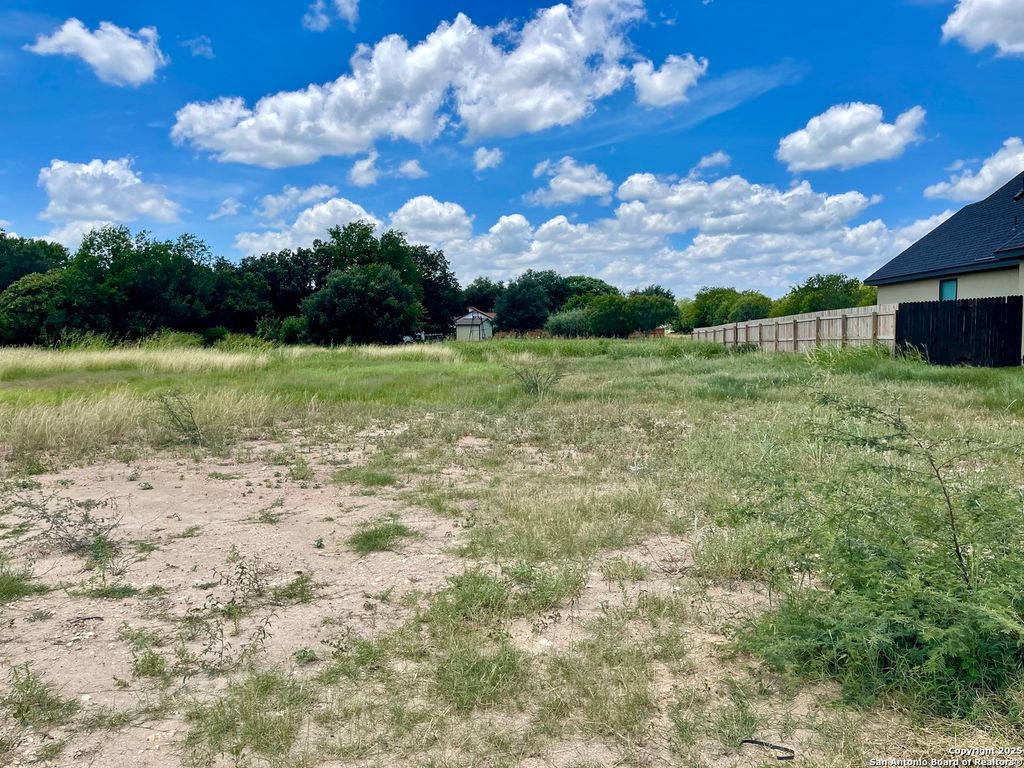 Photo of 243 Janice Avenue, Castroville, TX 78009 (MLS # 1878781)