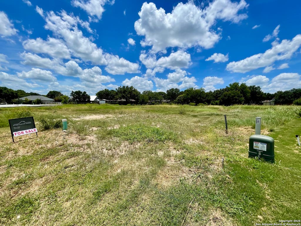 Photo of 243 Janice Avenue, Castroville, TX 78009 (MLS # 1878781)
