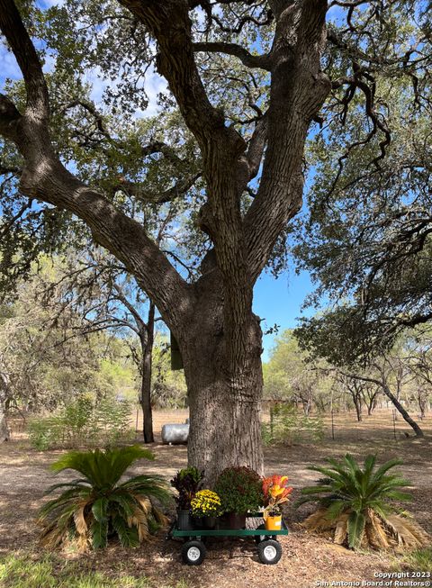 A home in Atascosa