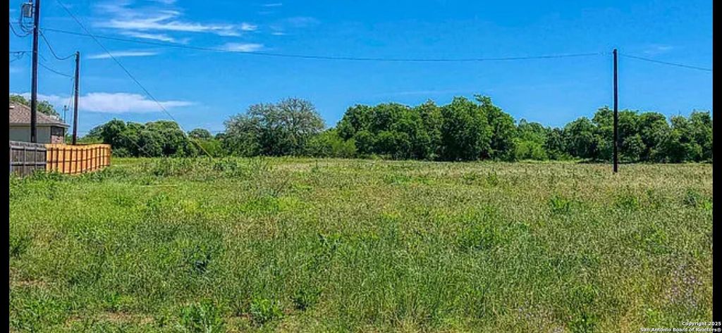Photo of 160 N 1st ST, Floresville, TX 78114 (MLS # 1847017)