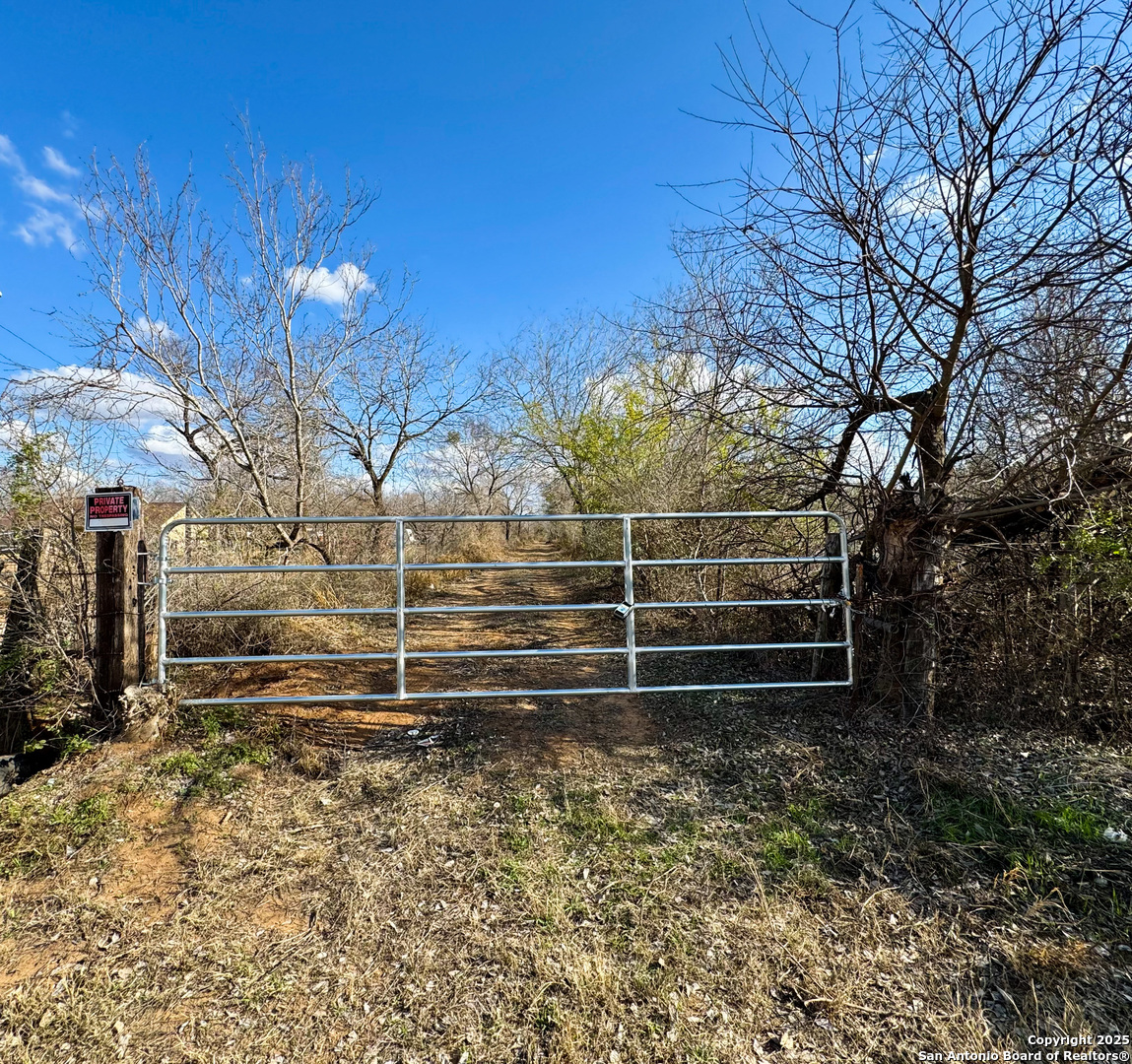 Listing image 7