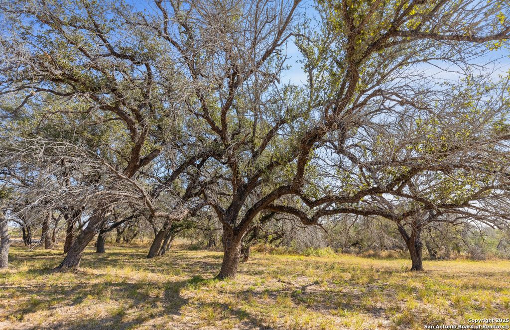 Photo of 1304 County Road 777, Devine, TX 78016 (MLS # 1922344)