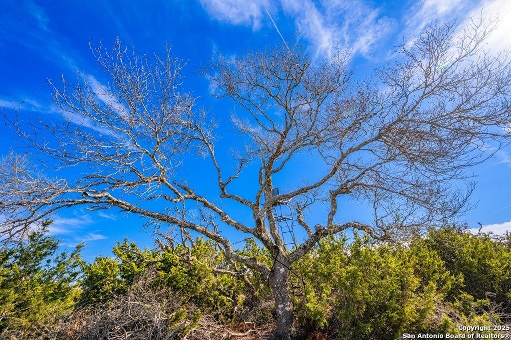 Photo of 00 Zenner-Ahrens Rd, Fredericksburg, TX 78624 (MLS # 1917054)