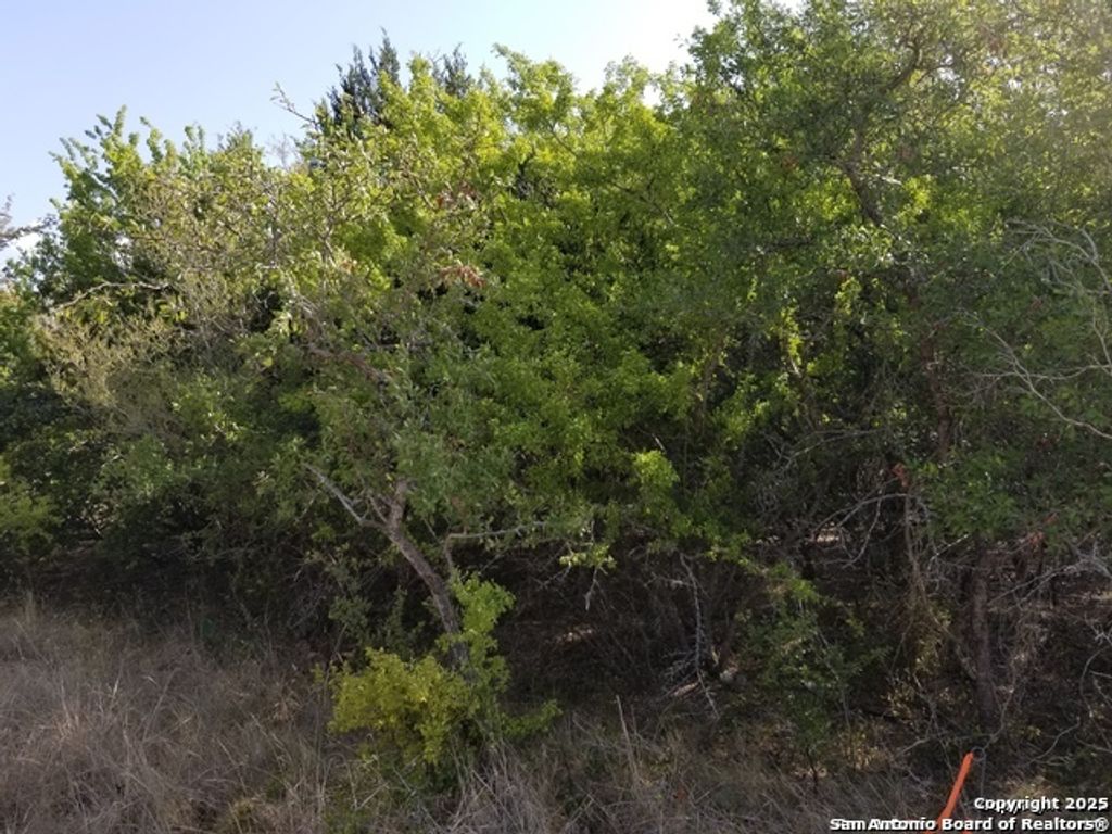 Photo of 4736 troy, Schertz, TX 78154 (MLS # 1924719)