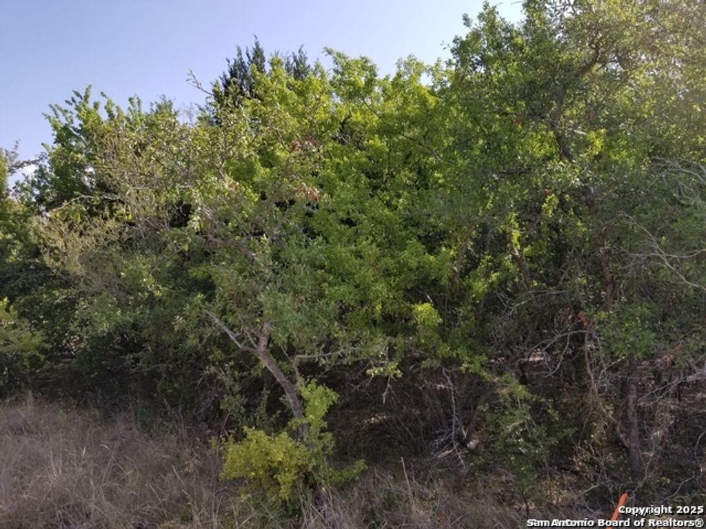 Photo of 4736 troy, Schertz, TX 78154 (MLS # 1924719)