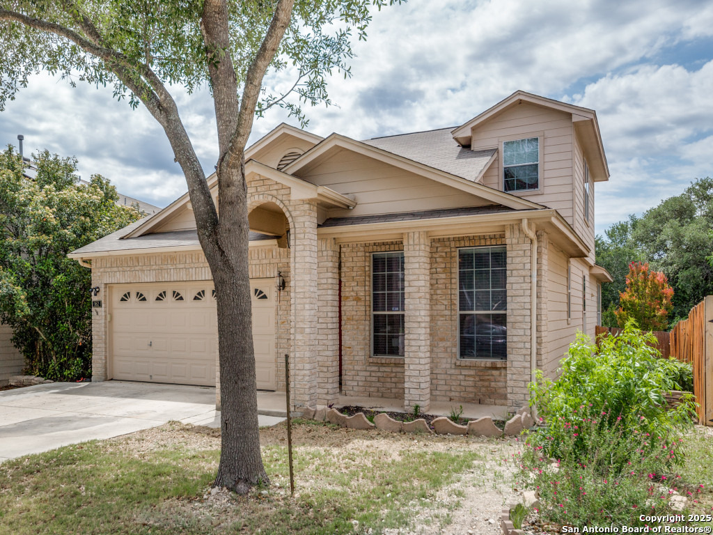 162 Coopers Hawk