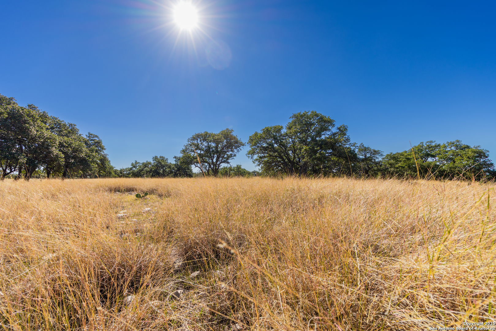 000 Cattlemans Crossing Dr