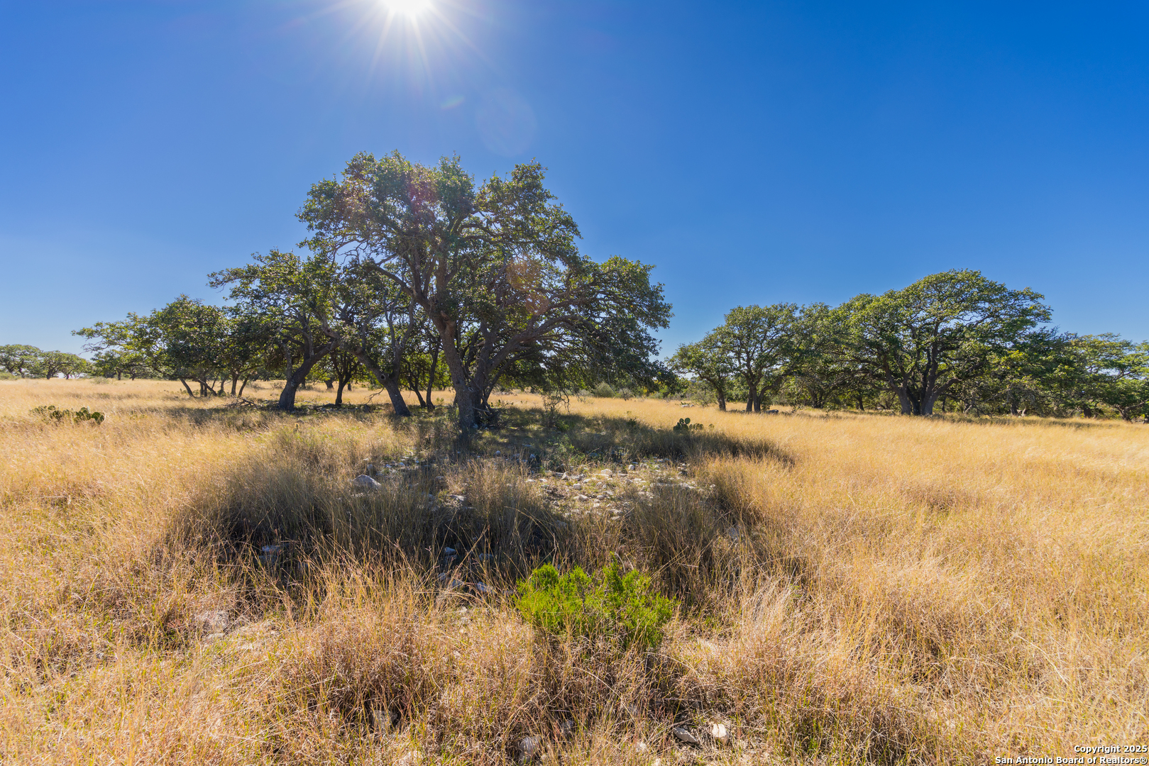 000 Cattlemans Crossing Dr