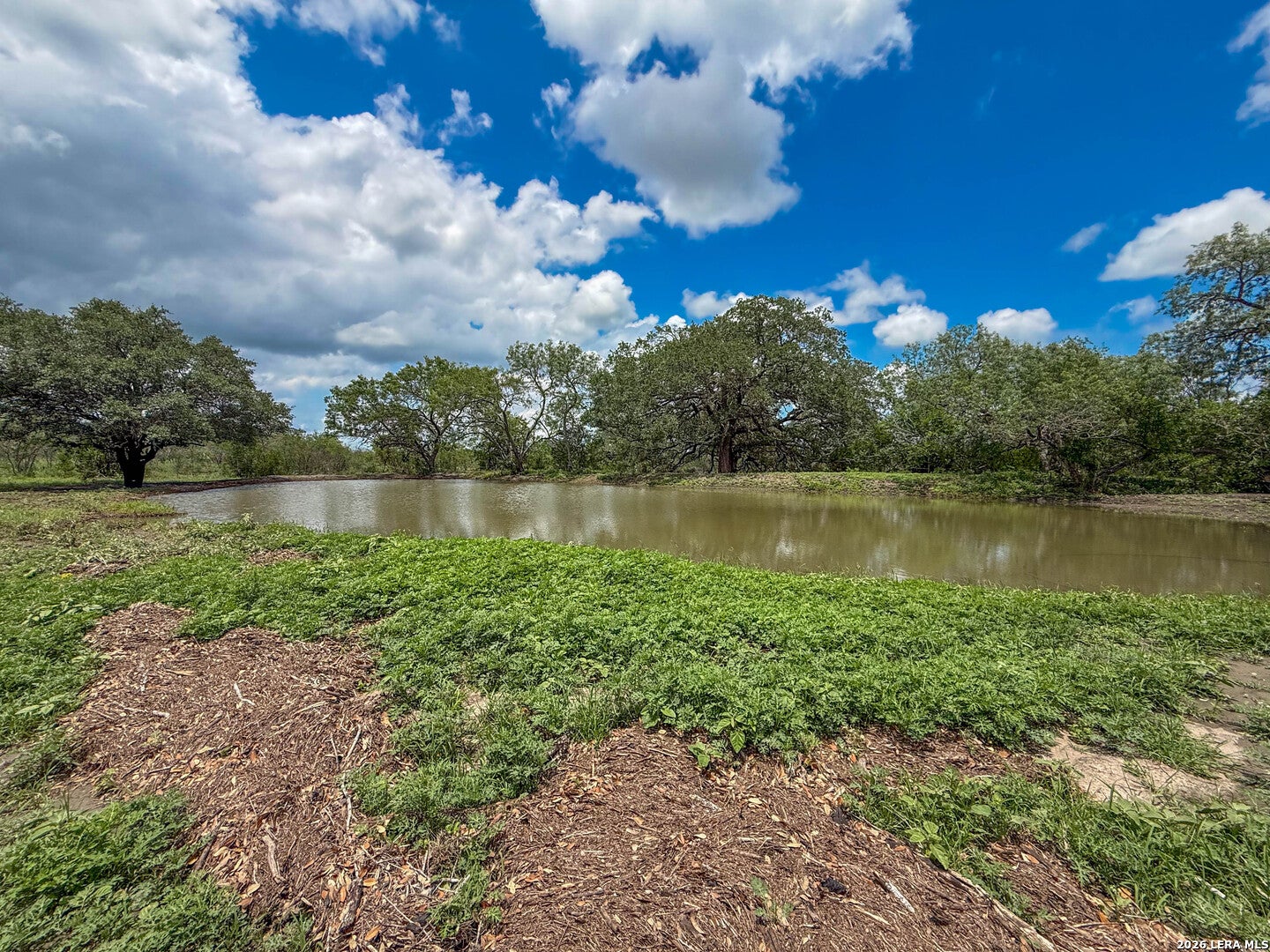 11919 County Road 127