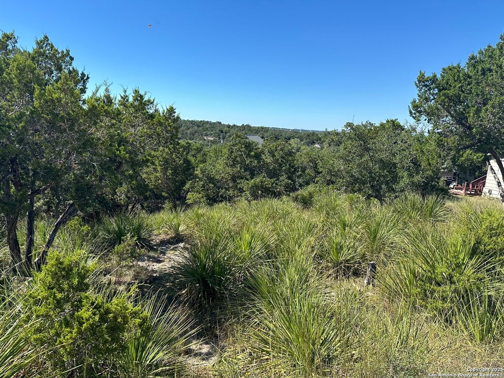 Photo of 593 Ledgeview, Canyon Lake, TX 78133 (MLS # 1913888)