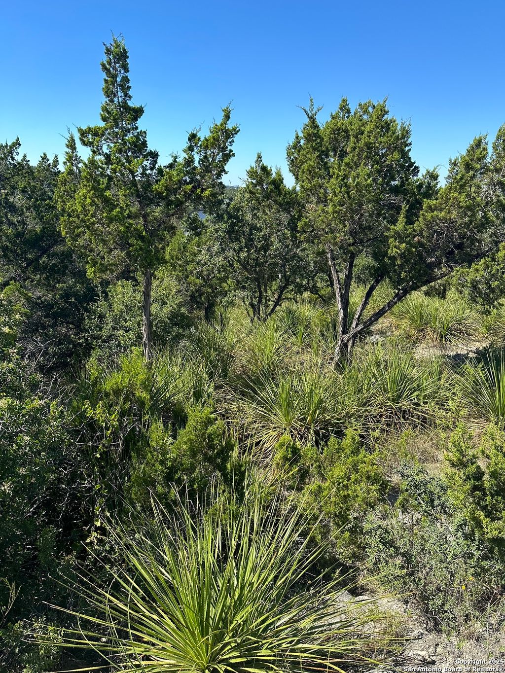 Photo of 593 Ledgeview, Canyon Lake, TX 78133 (MLS # 1913888)