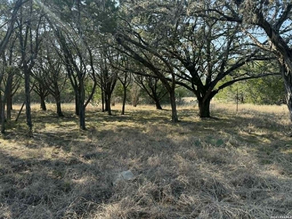 Photo of 202 itll do, Pipe Creek, TX 78063 (MLS # 1953239)