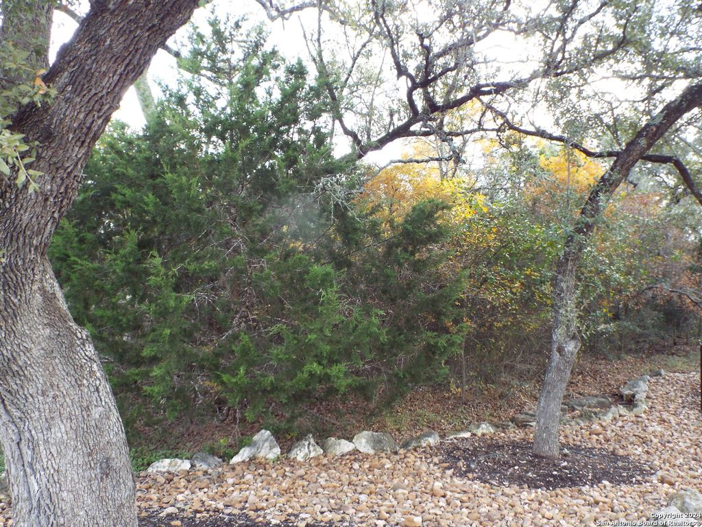 Photo of 21710 Angostura Blvd, San Antonio, TX 78261 (MLS # 1828333)