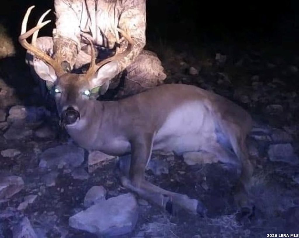 Photo of 1213 Sd 42200, Rocksprings, TX 78880 (MLS # 1944856)