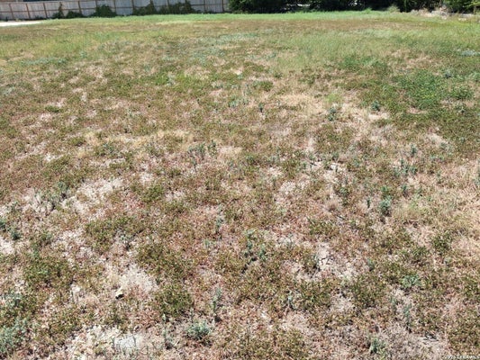 117 LAVONNE VILLA, UNIVERSAL CITY, TX 78148 - Image 745b34c105bf2ed16c8cd9cd8b0112bc/2624136160