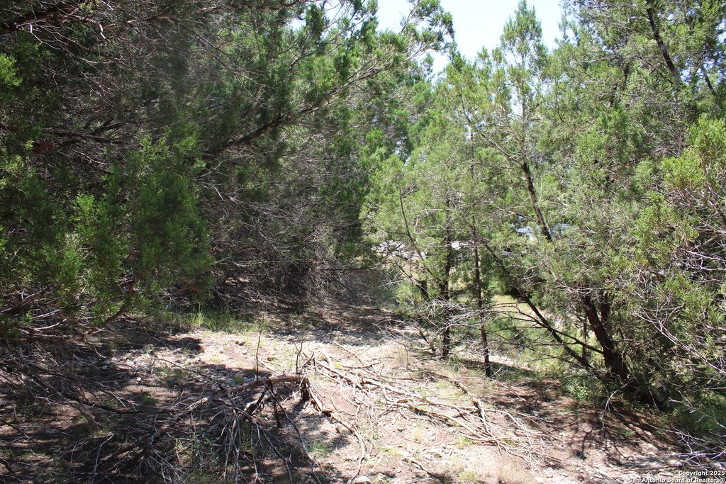 Photo of 1105 Rotherman, Canyon Lake, TX 78133 (MLS # 1889401)