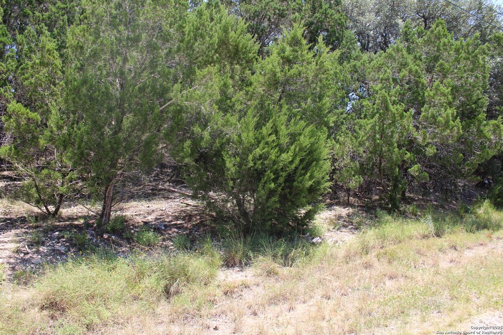 Photo of 1105 Rotherman, Canyon Lake, TX 78133 (MLS # 1889401)