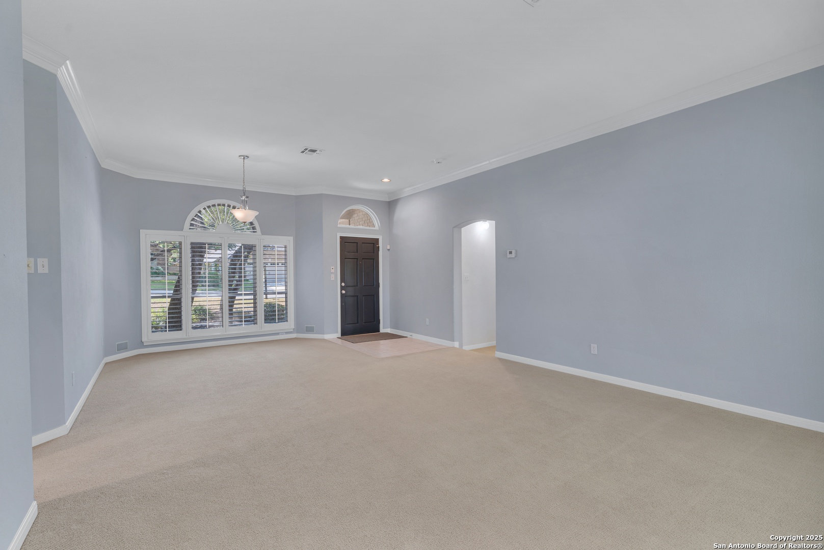 6523 Amber Oak