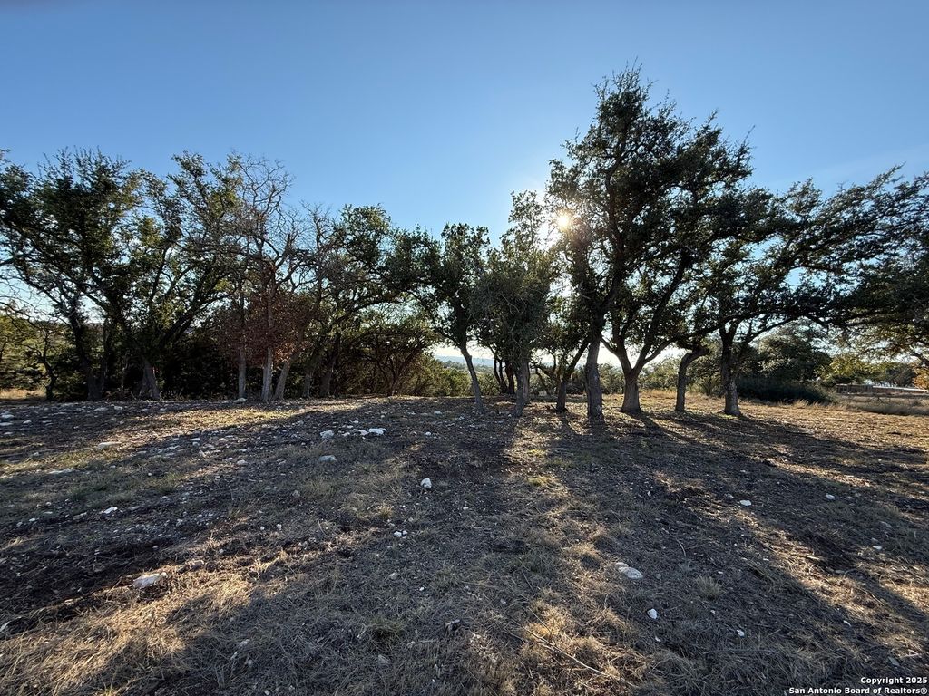 Photo of 659 Butler Oaks, Bulverde, TX 78163 (MLS # 1930127)