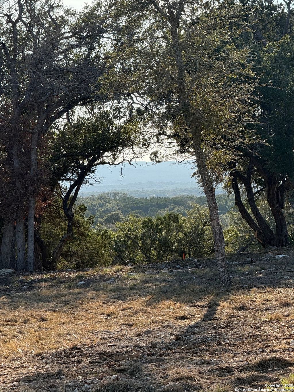 Photo of 659 Butler Oaks, Bulverde, TX 78163 (MLS # 1930127)