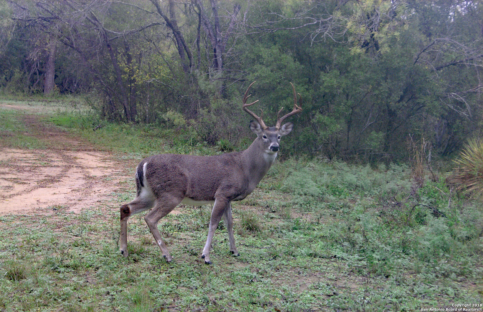 Photo 1 of 25 — TBD COUNTY ROAD 646, Hondo, TX 78861