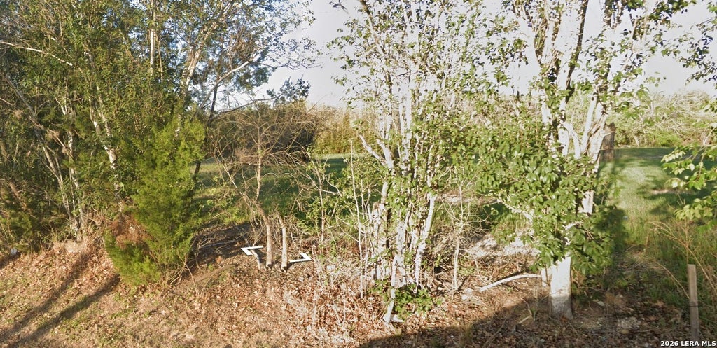 Photo of 216 S Cherry St, Seguin, TX 78155 (MLS # 1973299)