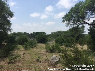 Photo 1 of 9 — 4948 TANGLEWOOD TRL, Spring Branch, TX 78070