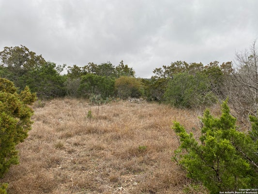 1595 RIM ROCK RD, CAMP WOOD, TX 78833 - Image 76e7c432634b8dd0ef082dbafc1eceed/2488809947