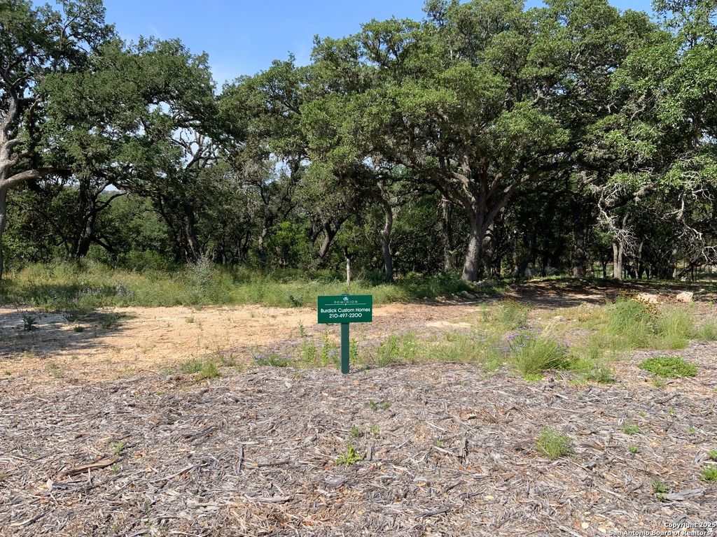 Photo of 24643 Cliff Line, San Antonio, TX 78257 (MLS # 1848153)