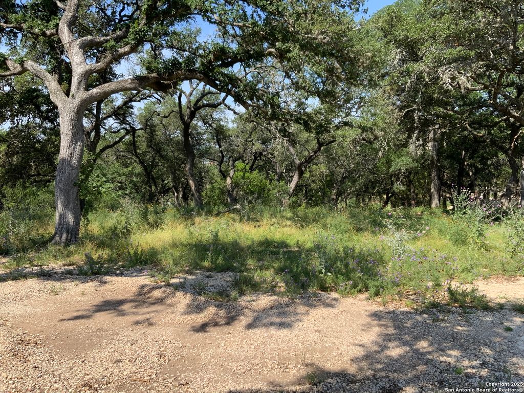 Photo of 24643 Cliff Line, San Antonio, TX 78257 (MLS # 1848153)