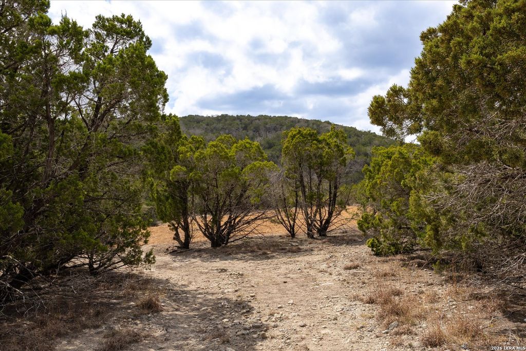 Photo of 415 Sparkling Springs, Boerne, TX 78006 (MLS # 1946984)