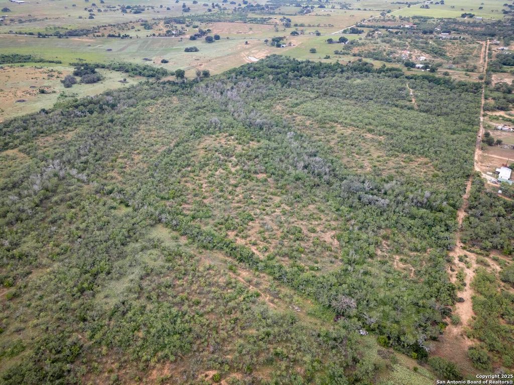 Photo of 558 Ramos Ln, Floresville, TX 78114 (MLS # 1888168)