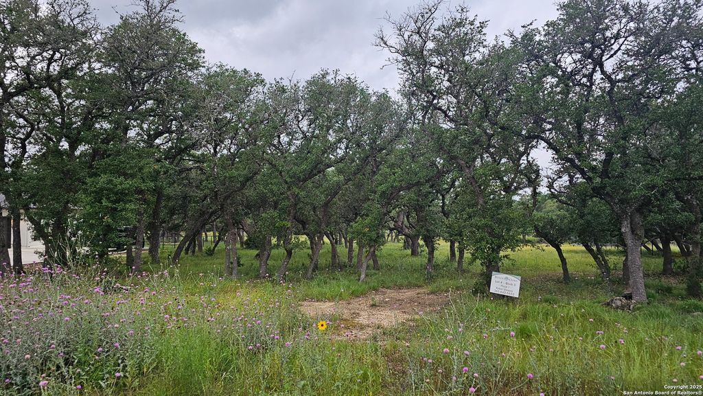 Photo of 874 Maximino Ridge, Bulverde, TX 78163 (MLS # 1919425)