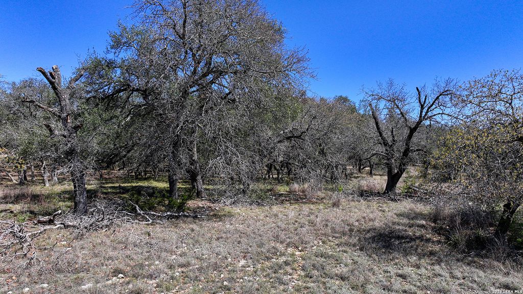 Photo of 34776 High Gate, Bulverde, TX 78163 (MLS # 1949103)